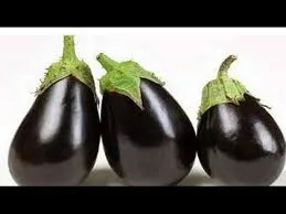 باذنجان مكبب