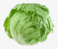 كابوتشا