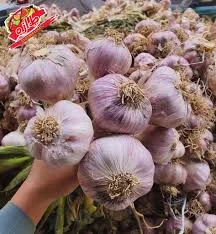 توم احمر بدون عرش